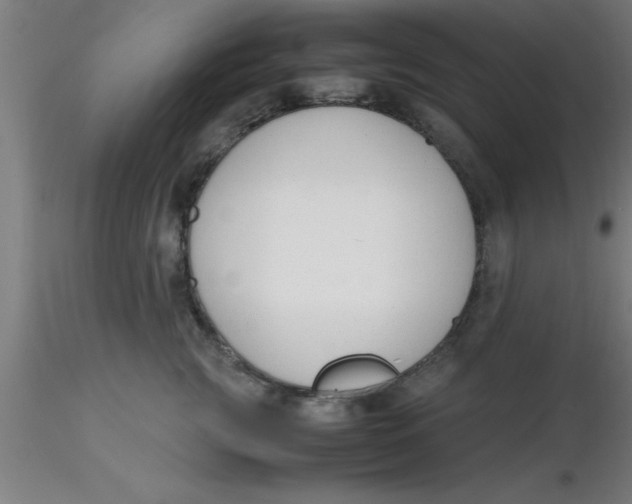 X0000116370761200912231315