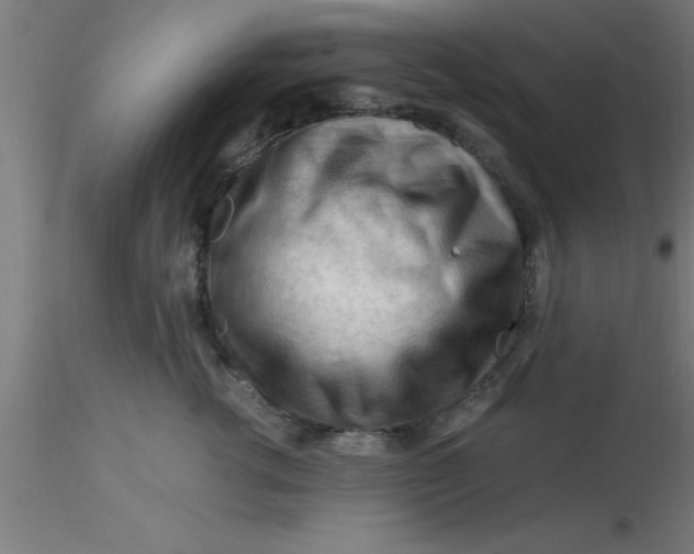 X0000116370762200912231316