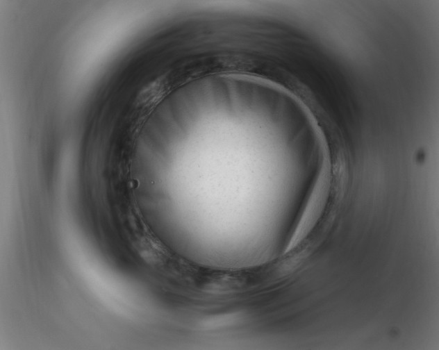 X0000116370765200912231316