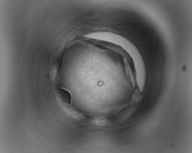 X0000116370767200912231316