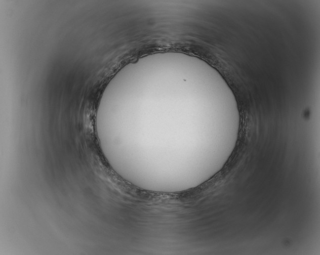 X0000116370770200912231315