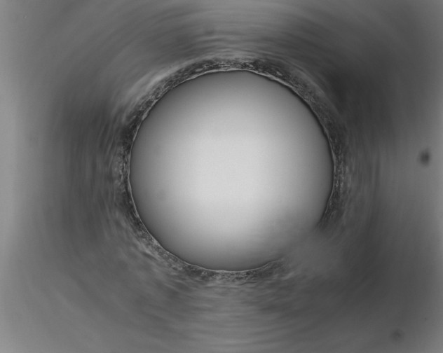 X0000116370773200912231315