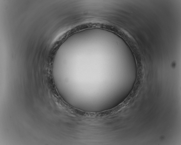 X0000116370775200912231315