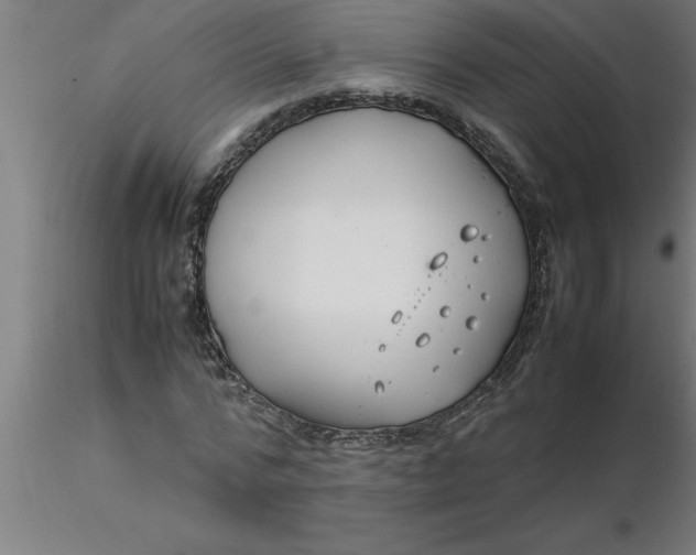 X0000116370776200912231315