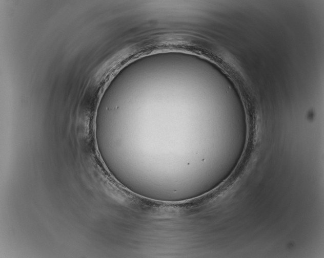 X0000116370777200912231315