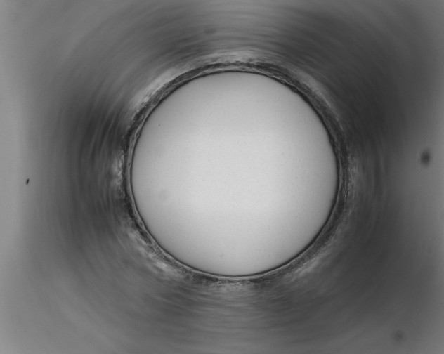 X0000116370778200912231315