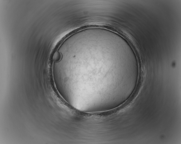 X0000116370779200912231315