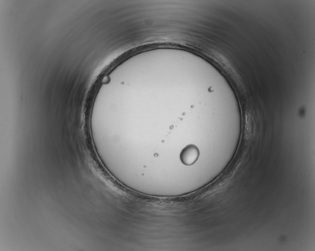 X0000116370780200912231315