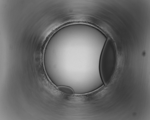 X0000116370781200912231315