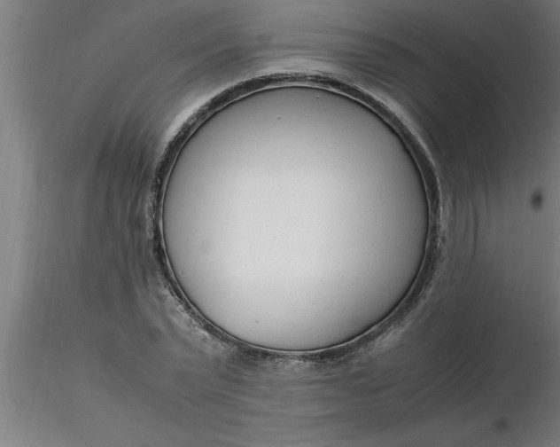 X0000116370783200912231315