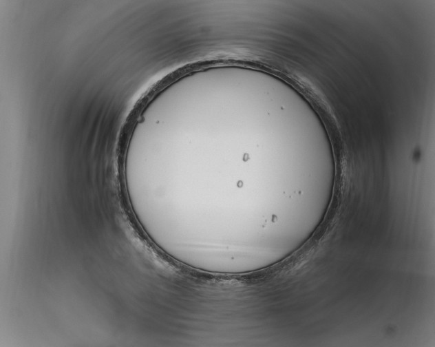 X0000116370784200912231315