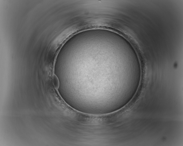 X0000116370785200912231315