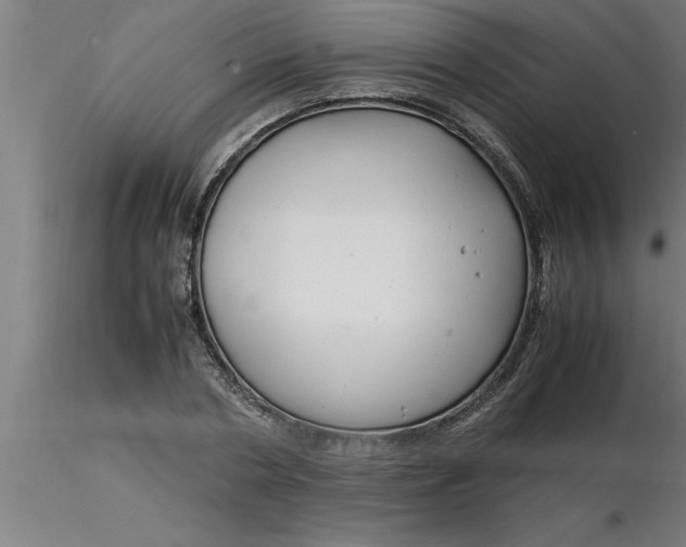 X0000116370786200912231315