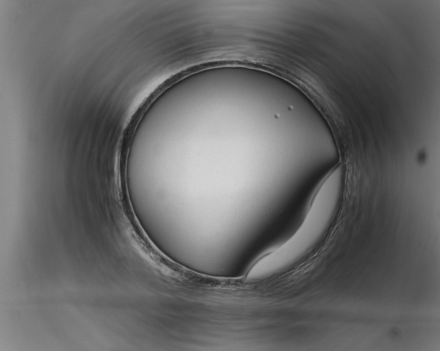 X0000116370788200912231315