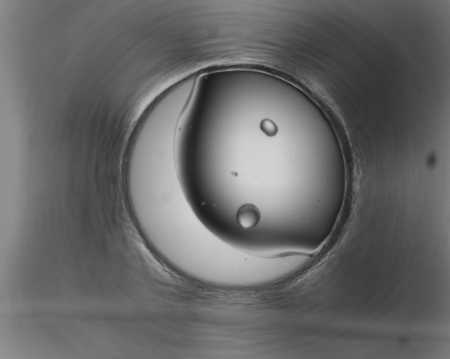 X0000116370789200912231315