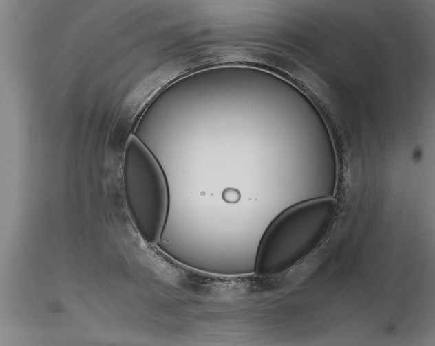 X0000116370793200912231315