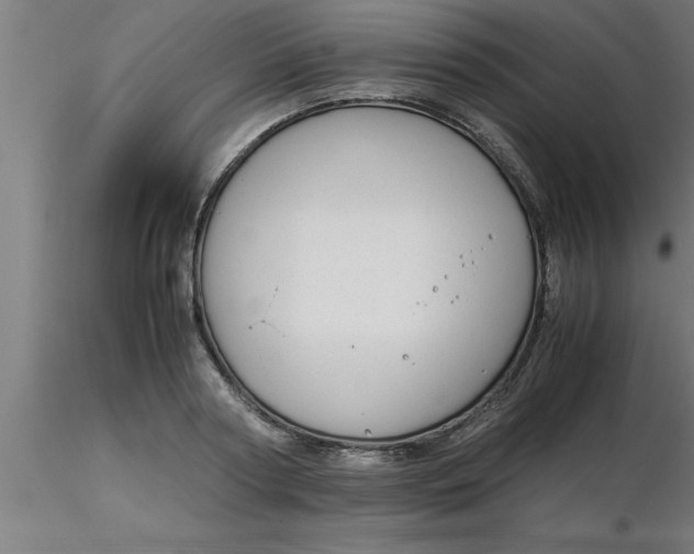 X0000116370794200912231315