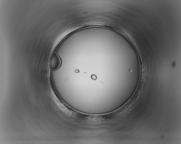 X0000116370795200912231315