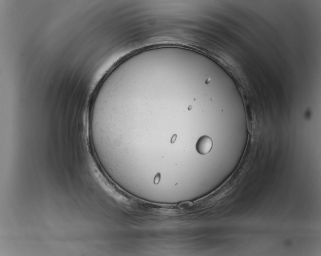 X0000116370796200912231315