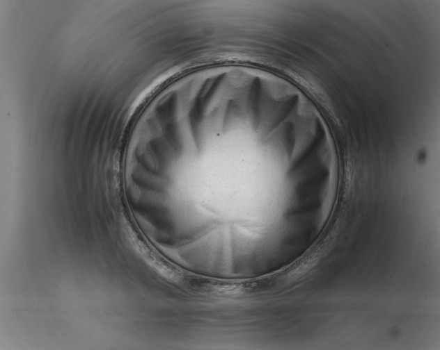 X0000116370798200912231315