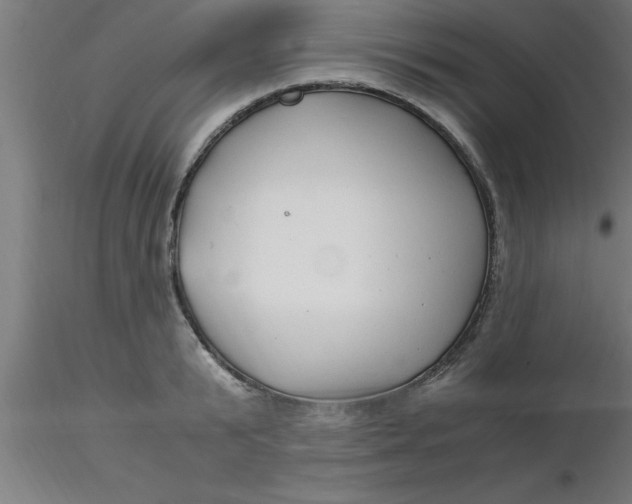 X0000116370799200912231315