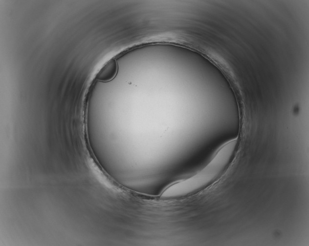 X0000116370800200912231315