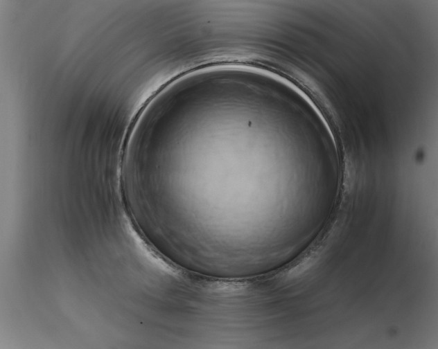 X0000116370802200912231314