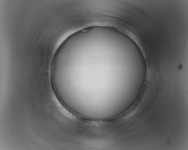 X0000116370803200912231314