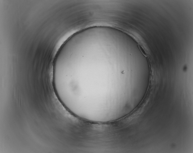 X0000116370804200912231314