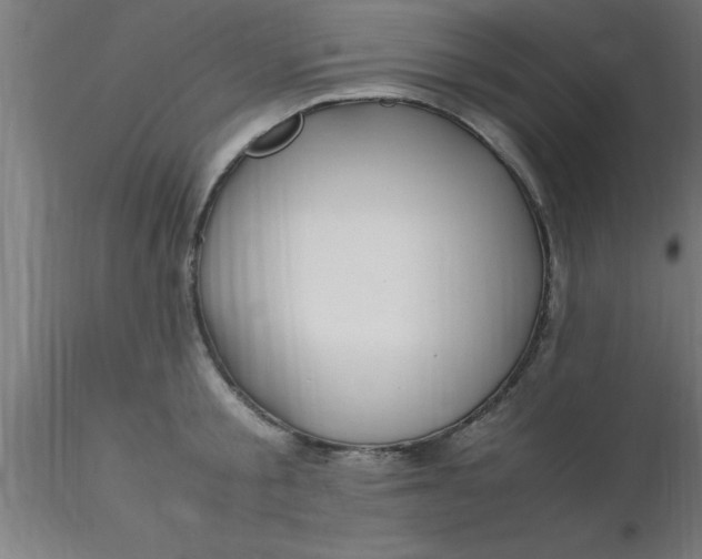 X0000116370805200912231314