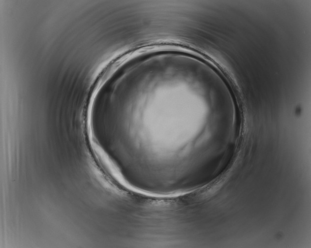 X0000116370806200912231314