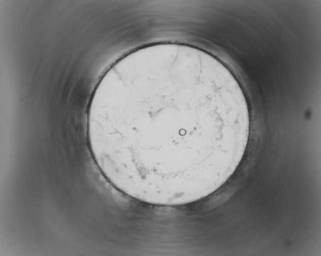 X0000116370807200912231314