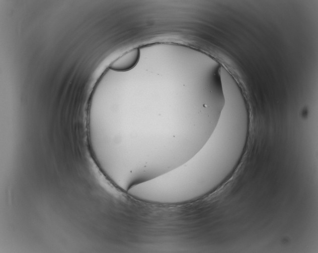 X0000116370808200912231314