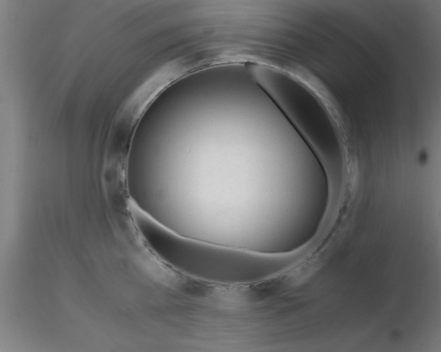 X0000116370809200912231314