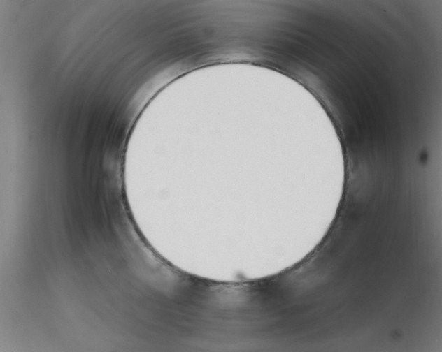 X0000116370810200912231314