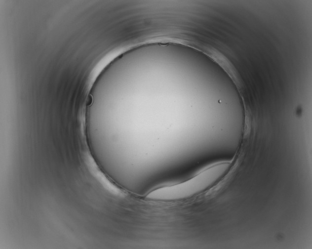 X0000116370812200912231314