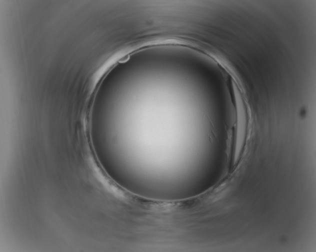 X0000116370813200912231314