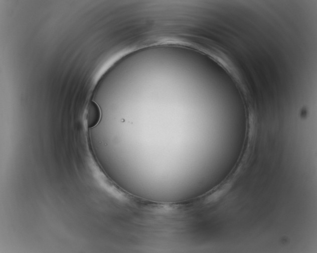 X0000116370814200912231314