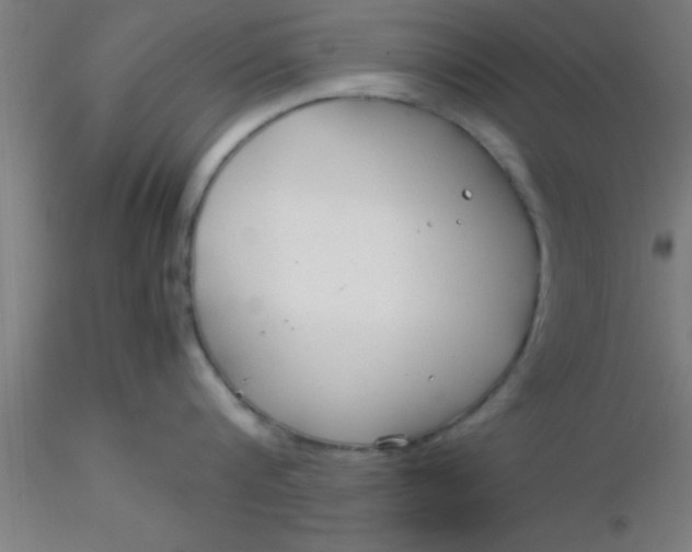 X0000116370816200912231314