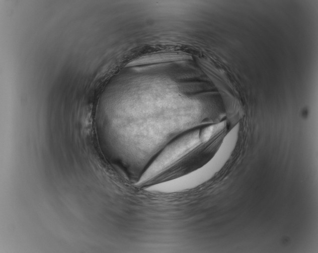 X0000116370818200912231314