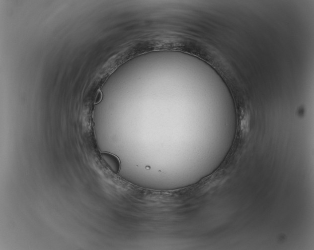 X0000116370819200912231314