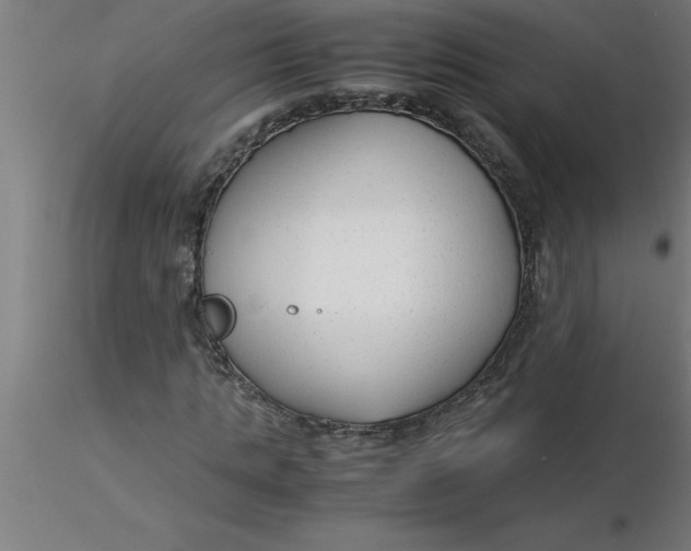 X0000116370821200912231314