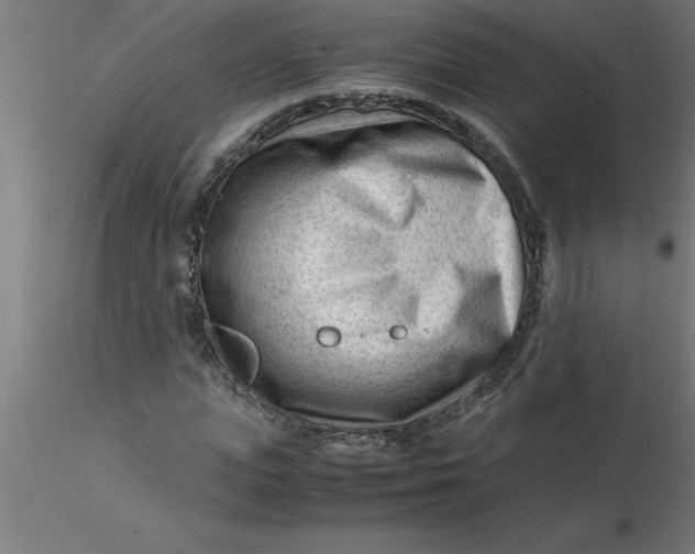 X0000116370823200912231314