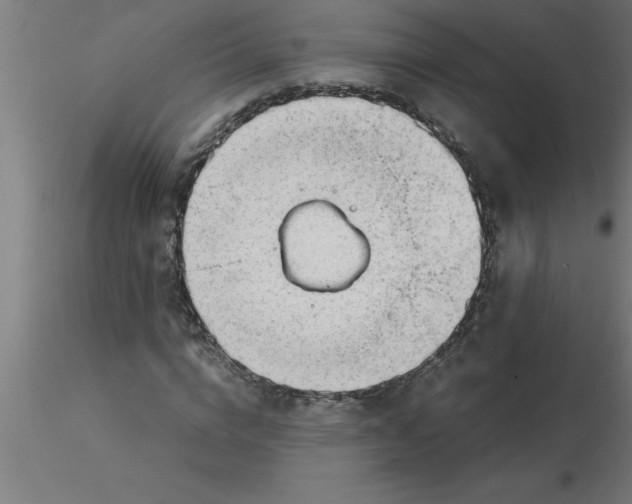 X0000116370824200912231314