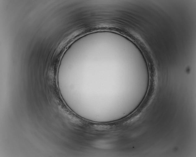 X0000116370825200912231314