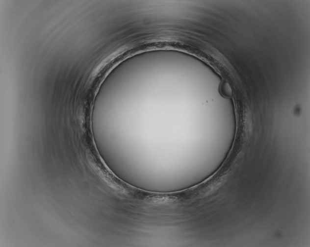 X0000116370826200912231314