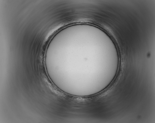 X0000116370827200912231314