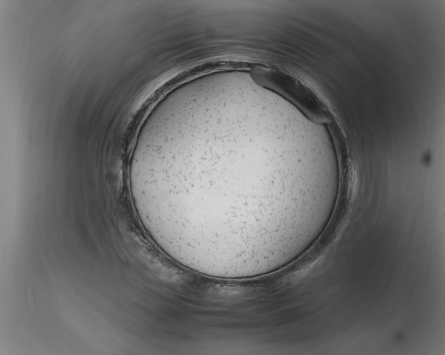 X0000116370829200912231314