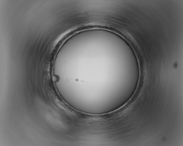 X0000116370830200912231314