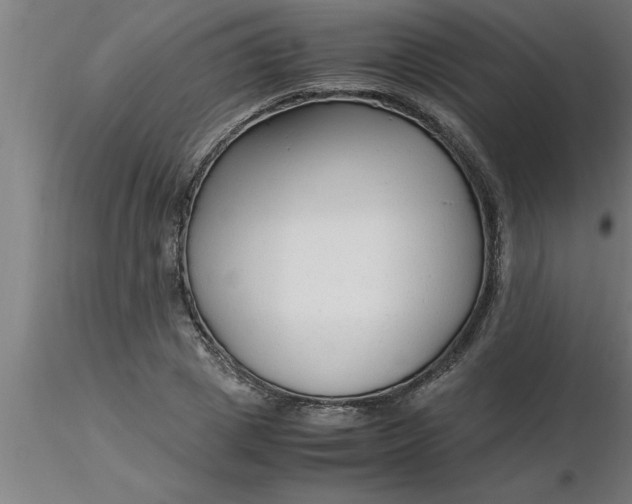 X0000116370833200912231314